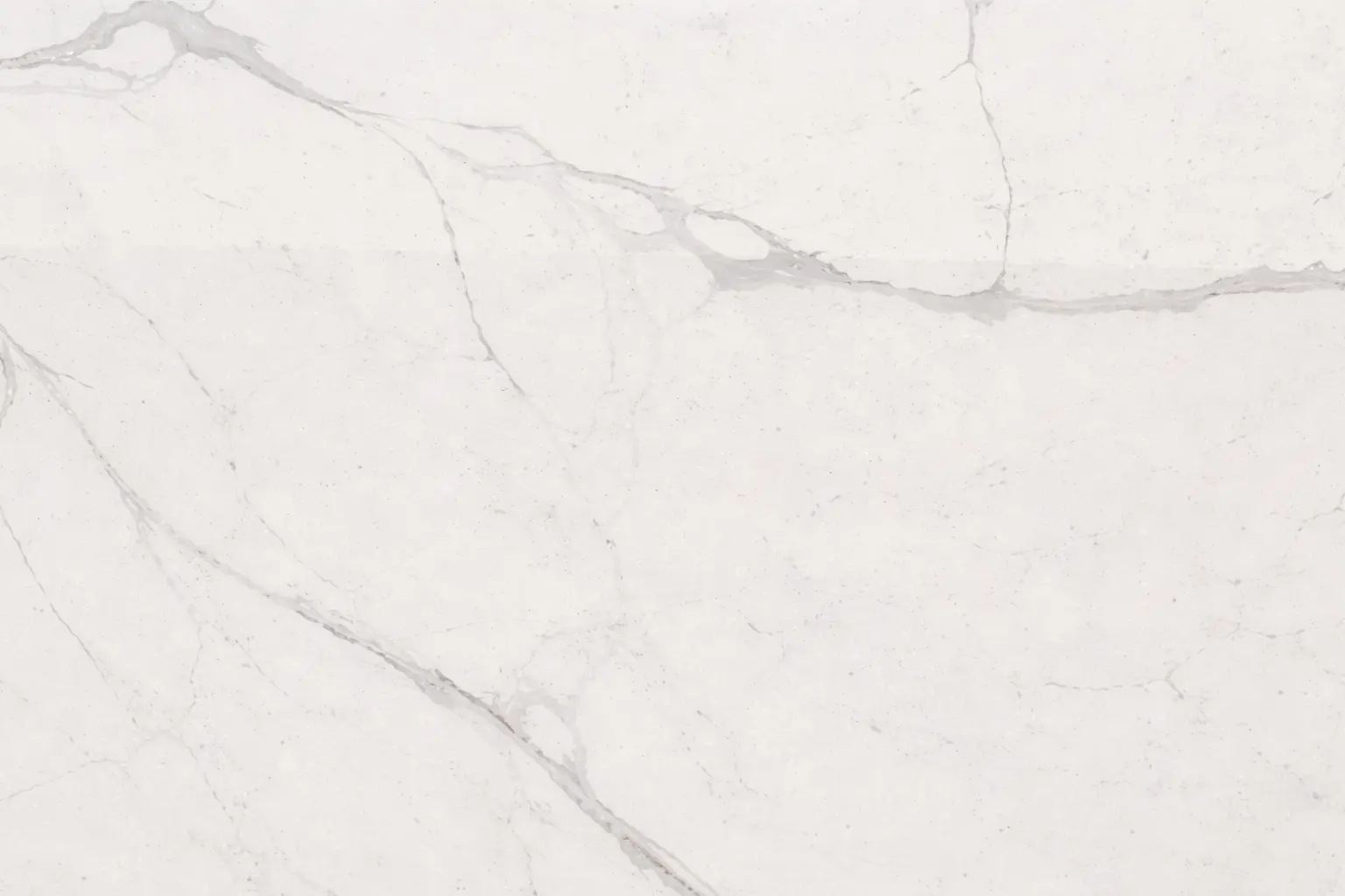 Callacata White